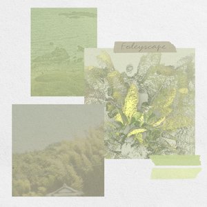 Foleyscape