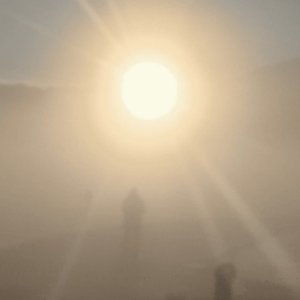 A NEW LIFE