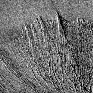 Avatar for Seaes