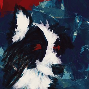 Avatar for Collie Perfect