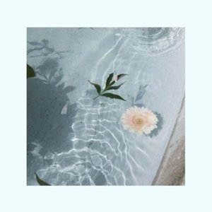 Summer Romance