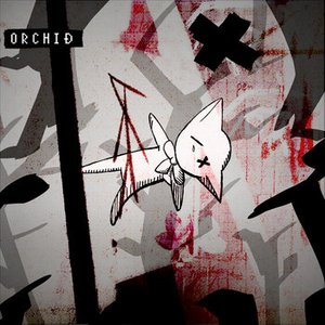 Orchid