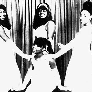Avatar di The Cooperettes