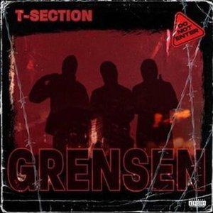 Grensen