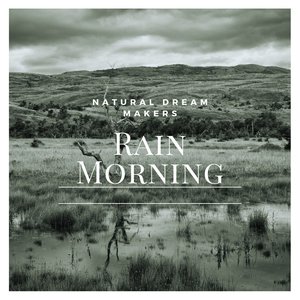 Rain Morning