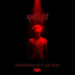 Avatar for Marshmello x Lil Peep