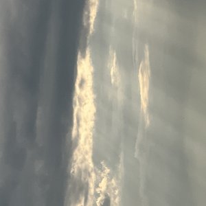 Avatar for Cloud Canopy