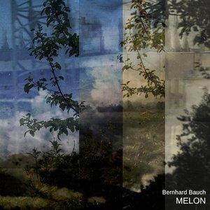 Melon