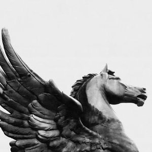 PEGASUS