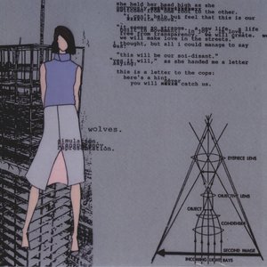 Simulation.Transparency.Alienation
