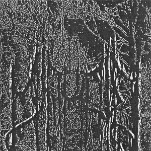 Demo I