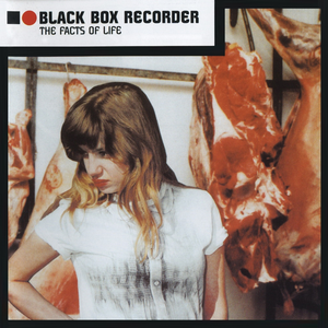 Black Box Recorder