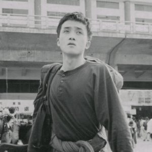張楚 的头像