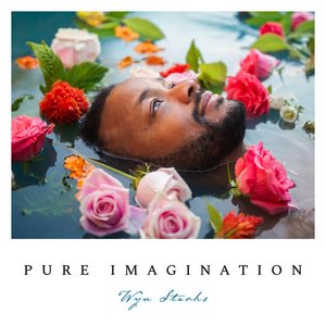 Wyn Starks - Pure Imagination - Zortam Music