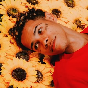 Avatar for Bin