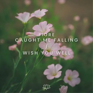 caught me falling / wish you well