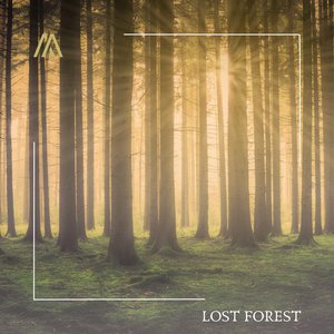 Lost Forest