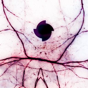 Avatar for Hybridcore