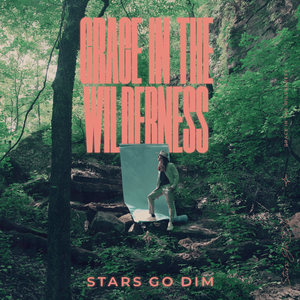 Grace In The Wilderness