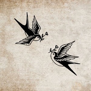 Sparrow Paradise