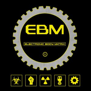 Electronic Body Matrix, Volume 1
