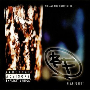 You Are Now Entering... The Blak Forest