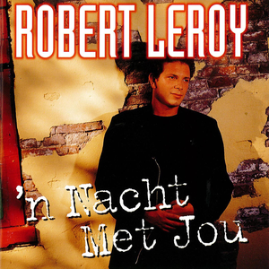 Artwork for Geef de nacht maar de schuld