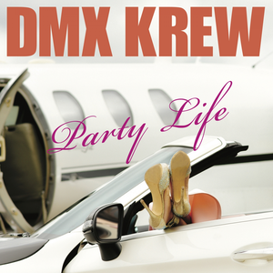 Artwork for Party Life