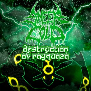 Destruction Ov Rayquaza