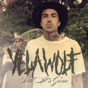 Till It's Gone album cover