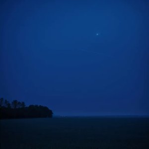 desolate (Remixes)