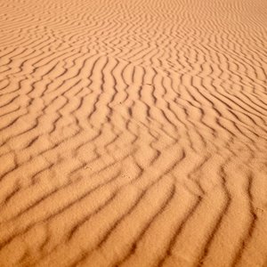 Traces