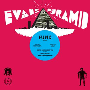 Never Gonna Leave You (Joakim and Max Pask Remixes)