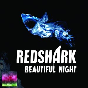 Beautiful Night