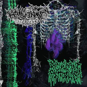 Redundant Protoplasm Split