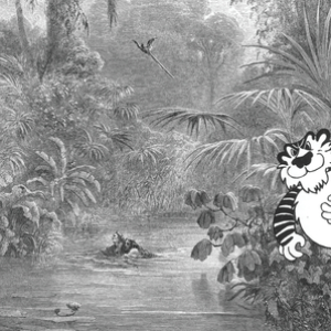 ...