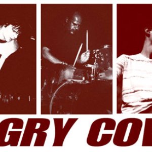 Avatar for Angry Cows