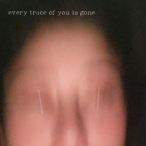 Every Trace of You is Gone