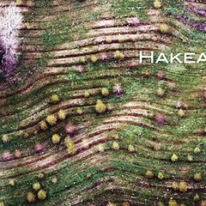 Hakea