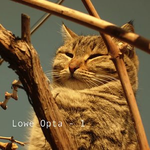 Avatar for Lowe Opta