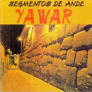 Segmentos De Ande