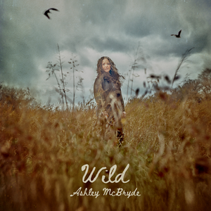 Ashley McBryde - Wild Lyrics - Zortam Music