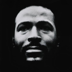 Vulnerable by Marvin Gaye