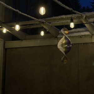 summer nights