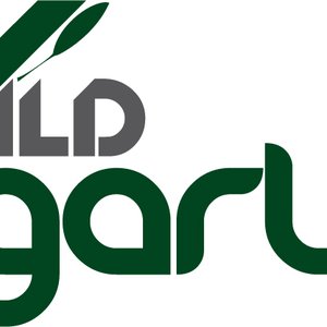 Avatar for Wild Garlic