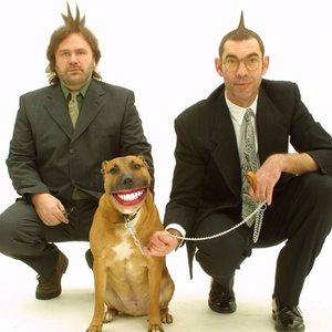 Avatar di The Groove Corporation