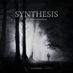 SYNTHESIS