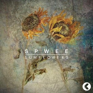 Confession / Sunflowers