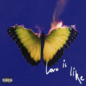 Love Is Like (Deluxe) [Explicit]