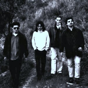 Avatar for Cuori Selvaggi
